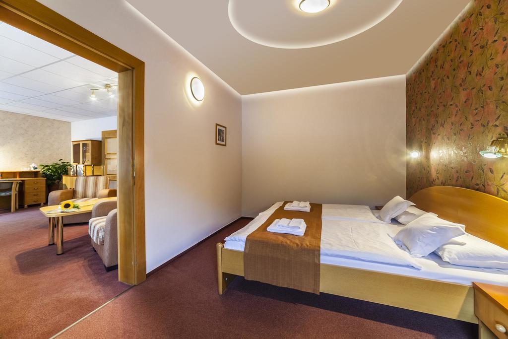 Hotel Flora Trenčianske Teplice Værelse billede
